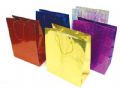 12 Holo gift bags lrg Part No.3304